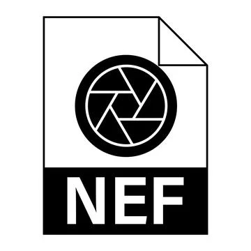 Modern flat design of NEF file icon for web Illustrazione stock