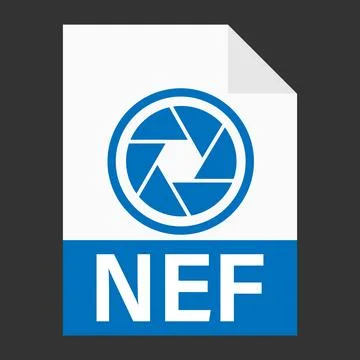 Modern flat design of NEF file icon for web Stock-Illustration
