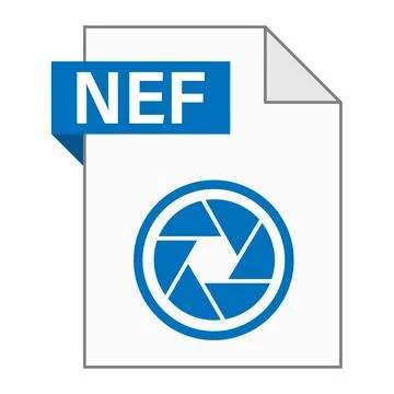 Modern flat design of NEF file icon for web Illustrazione stock