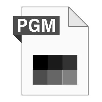 Modern flat design of PGM file icon for web Stock Illustration
