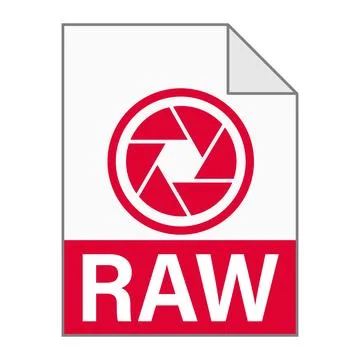 Modern flat design of RAW file icon for web Stock Illustration