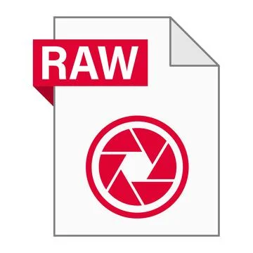 Modern flat design of RAW file icon for web Stock Illustration
