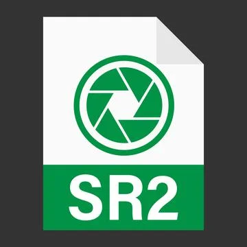 Modern flat design of SR2 file icon for web Stock Illustration