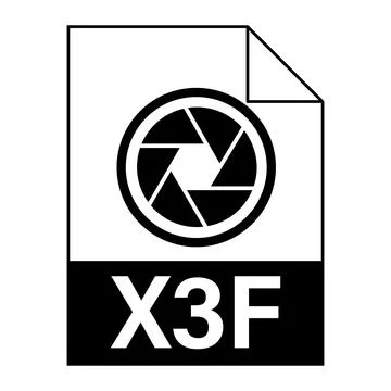 Modern flat design of X3F file icon for web Stock Illustration