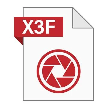 Modern flat design of X3F file icon for web Stock Illustration