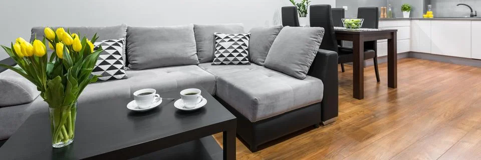 Modern flat with large sofa Stock Photos