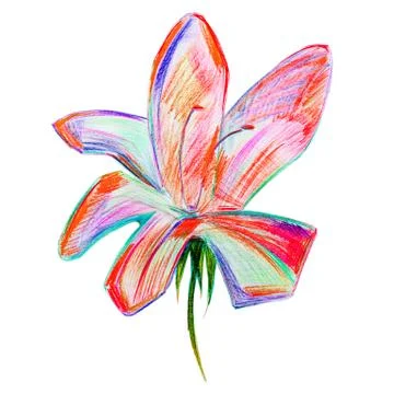Modern flower isolated Stock Illustration