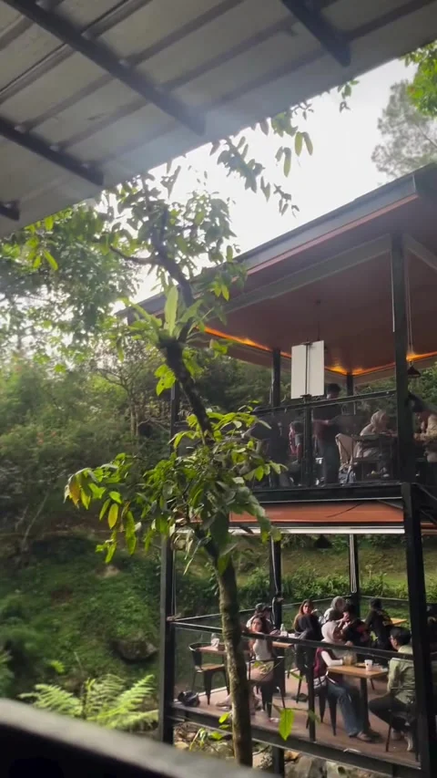 Modern forest cafe with scenic stream and diners Vídeos de archivo 339882560