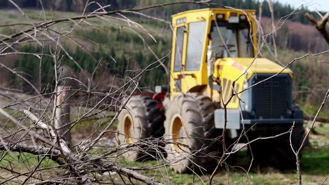 A modern forest machine blur 4k 25fps video Stock-Footage 273285255