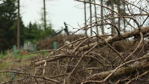 A modern forest machine in a dead forest blur Stock Footage 157175922