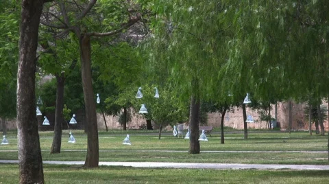 Modern garden 库存影片 731626