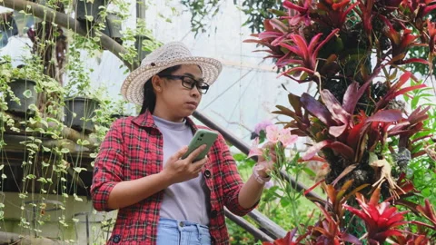 Modern gardeners study plants changes caused by climate change with smartphones. Stock Footage 172392894