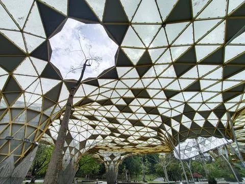 Modern Geodesic Canopy with Tree Stock Photos