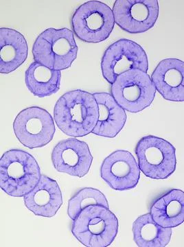 Modern geometric pattern with natural elements and violet color Stockfoto's