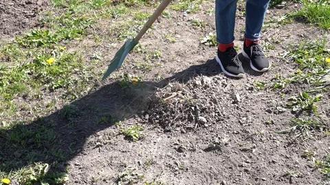 Modern girl works with a rake on a plot of land Stock Footage 129696474