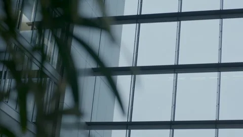 Modern Glass Atrium Interior With High Windows and Plant in Contemporary Buildin Stock Footage 334052923