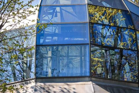 Modern glass building with tree reflections Stock Photos