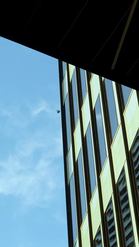 Modern Glass Skyscraper Architecture Vertical View With Blue Sky Stock Footage 331575209