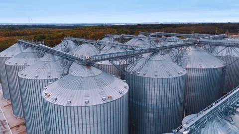 Modern grain elevator terminal in the countryside. Stock Footage 298671330