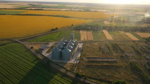 Modern grain silos at the field of blooming sunflowers 9 Stock Footage 117001527