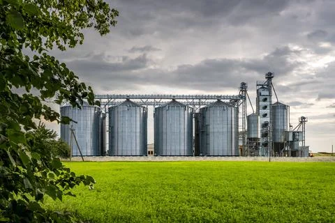 Modern Granary elevator and seed cleaning line. Silver silos on agro-processi Foto stock