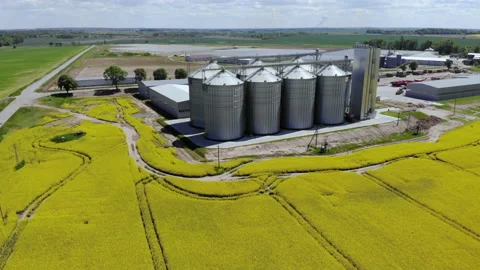 Modern Granary elevator. Silver silos on agro-processing and manufacturing plant Stock Footage 225254605