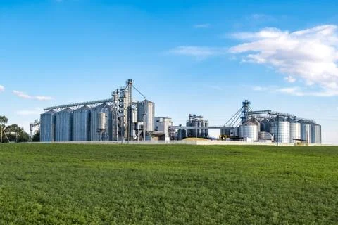 Modern Granary elevator. Silver silos on agro-processing and manufacturing pl Foto stock