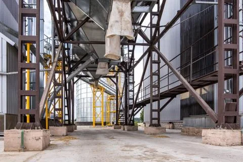 Modern Granary elevator. Silver silos on agro-processing and manufacturing pl Foto stock