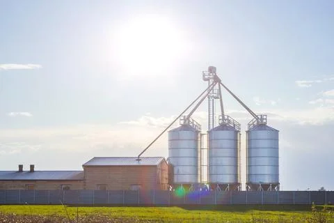 Modern granary, grain drying complex, covered elevators on a farm in a field, Stock Photos