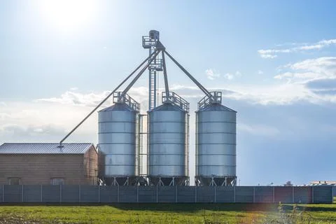 Modern granary, grain drying complex, covered elevators on a farm in a field, Stock Photos