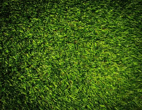 Modern green lawn texture background. Wallpaper for work and design. Stock Photos