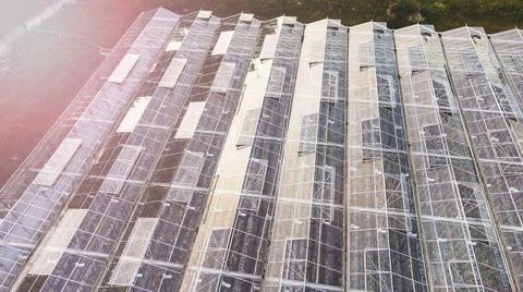 Modern greenhouse complex from a height Stock Photos