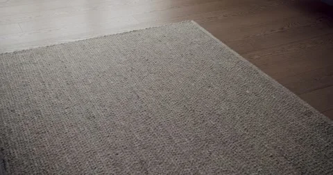 Modern Grey Area Rug on Sleek Wooden Flooring in Minimalist Setting Stock Footage 344856854