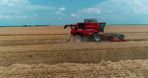 Modern harvester in a field Video stock 142515375