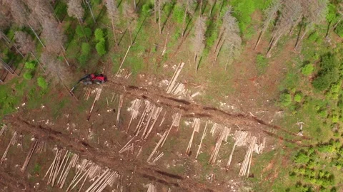 A modern harvester is working in a dead forest from above Stock-Footage 155279641
