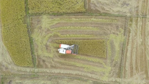 Modern harvesting machine Stock Footage 90365100
