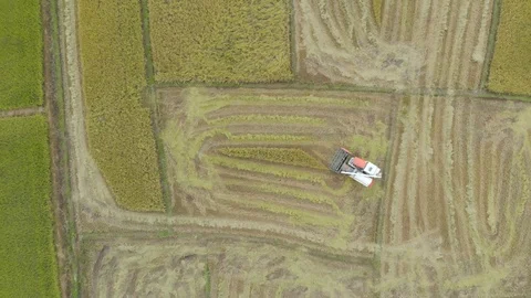 Modern harvesting machine Video stock 90365139