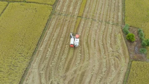 Modern harvesting machine Stock Footage 90365171