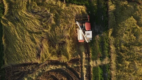 Modern harvesting machine Stock Footage 99965357