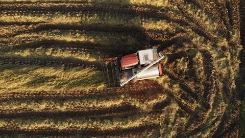 Modern harvesting machine Stock Footage 119694064