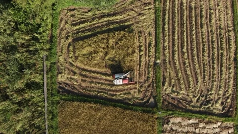 Modern harvesting machine Stock Footage 137012125