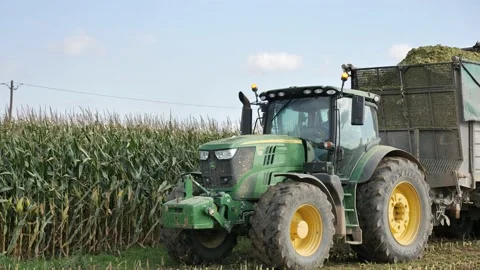 Modern header harvesting fodder corn mass, chopping it and pouring into truck Stock Footage 201039097