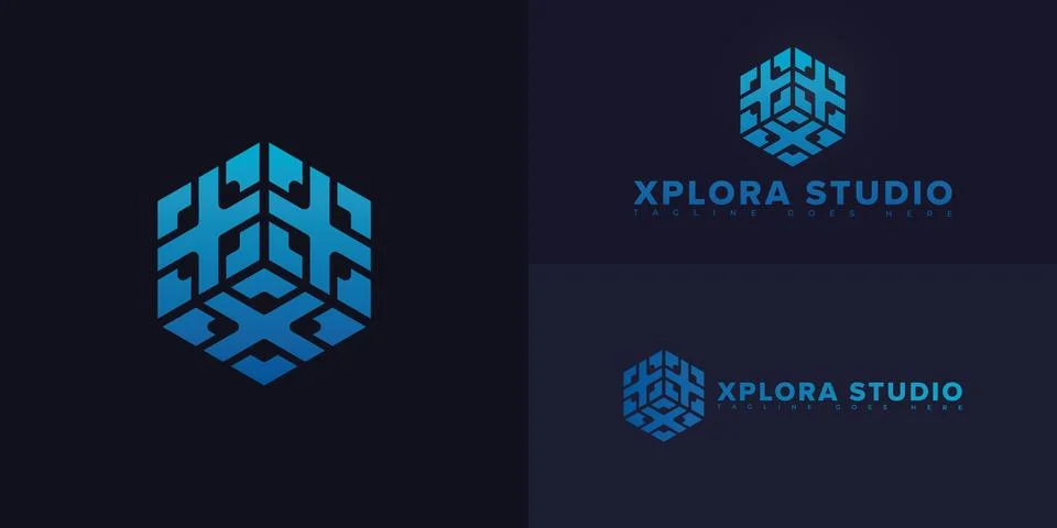 Modern hexagon vector initial letter XS or SX in blue color Stock Illustration