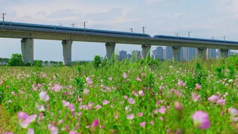 Modern high-speed train runs across the railway bridge over the river surface. Stock Footage 334160270