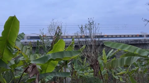 Modern High Speed Train Speeding Behind Green Banana Leaves in Chengdu Stock-Footage 334698761
