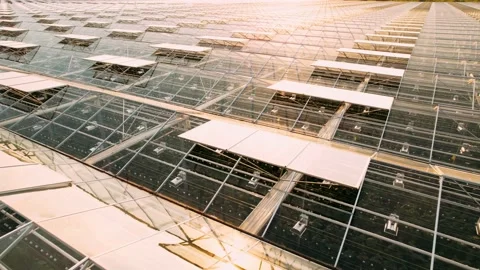 Modern High-tech Greenhouse View From Above. Aerial View Large Industrial Vídeos de archivo 198570858