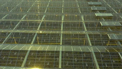 Modern High-tech Greenhouse View From Above. Aerial View Large Industrial Techno Stock Footage 208427031