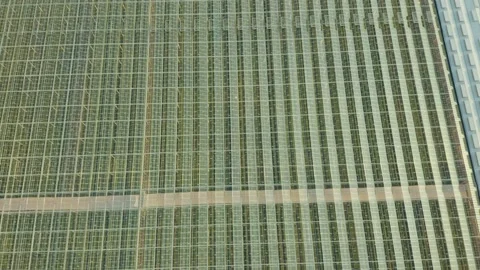 Modern High-tech Greenhouse View From Above. Aerial View Large Industrial Techno Stock Footage 208428516