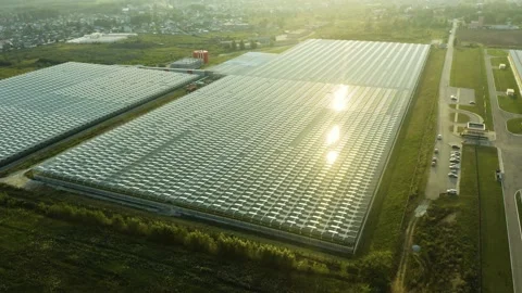 Modern High-tech Greenhouse View From Above. Aerial View Large Industrial Techno Stock Footage 208430441