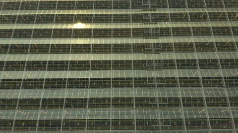 Modern High-tech Greenhouse View From Above. Aerial View Large Industrial Techno 스톡 동영상 208432955